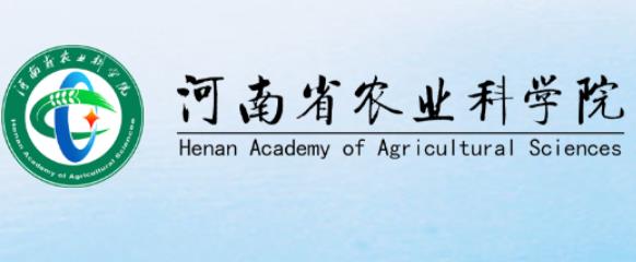 河南省作物分子育种研究院花生育种创新团队