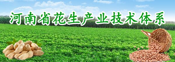 河南省花生产业技术体系